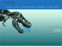 Tablet Screenshot of charlotteitpros.com